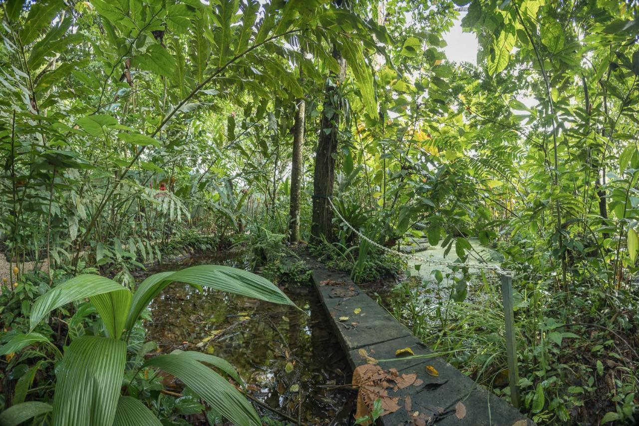 La Fortuna Cabanas Del Rio المظهر الخارجي الصورة