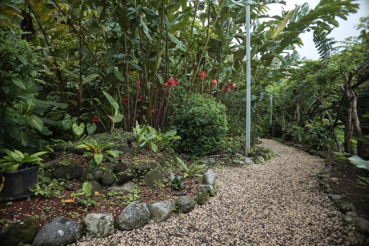 La Fortuna Cabanas Del Rio المظهر الخارجي الصورة