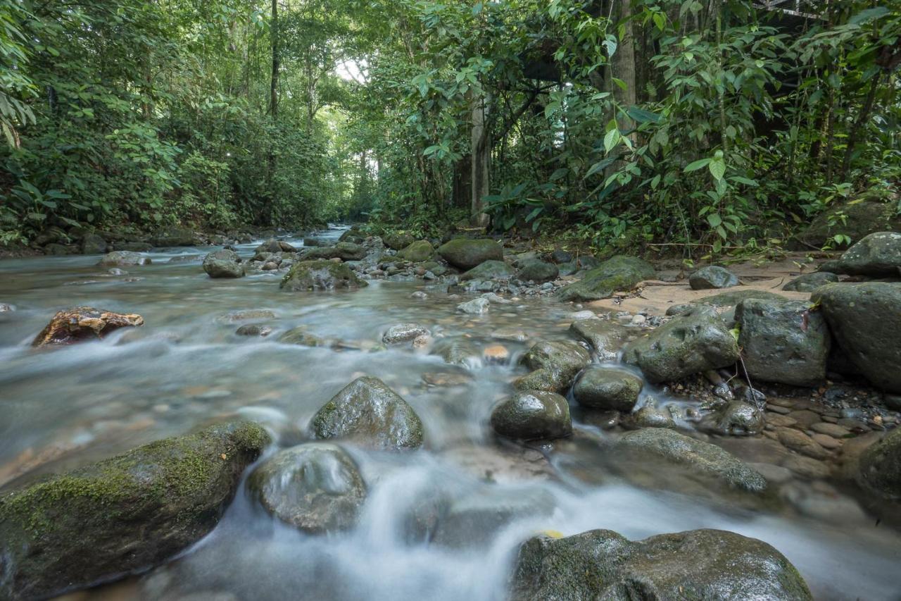 La Fortuna Cabanas Del Rio المظهر الخارجي الصورة
