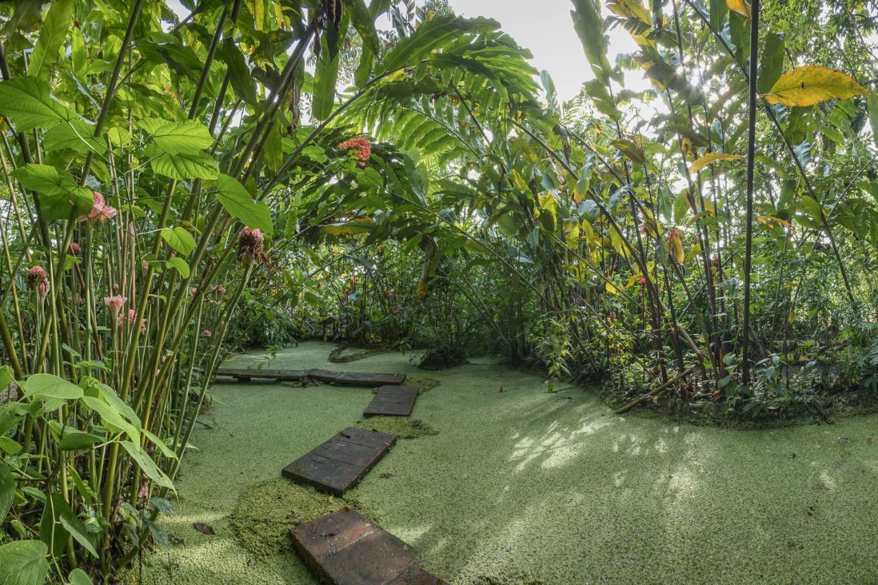 La Fortuna Cabanas Del Rio المظهر الخارجي الصورة