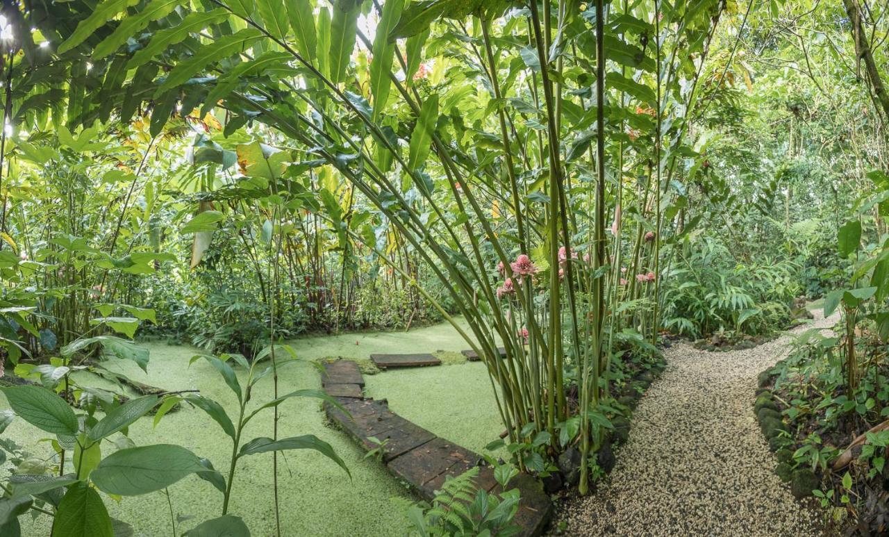 La Fortuna Cabanas Del Rio المظهر الخارجي الصورة