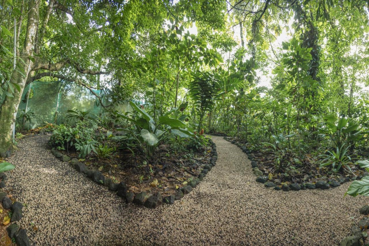 La Fortuna Cabanas Del Rio المظهر الخارجي الصورة