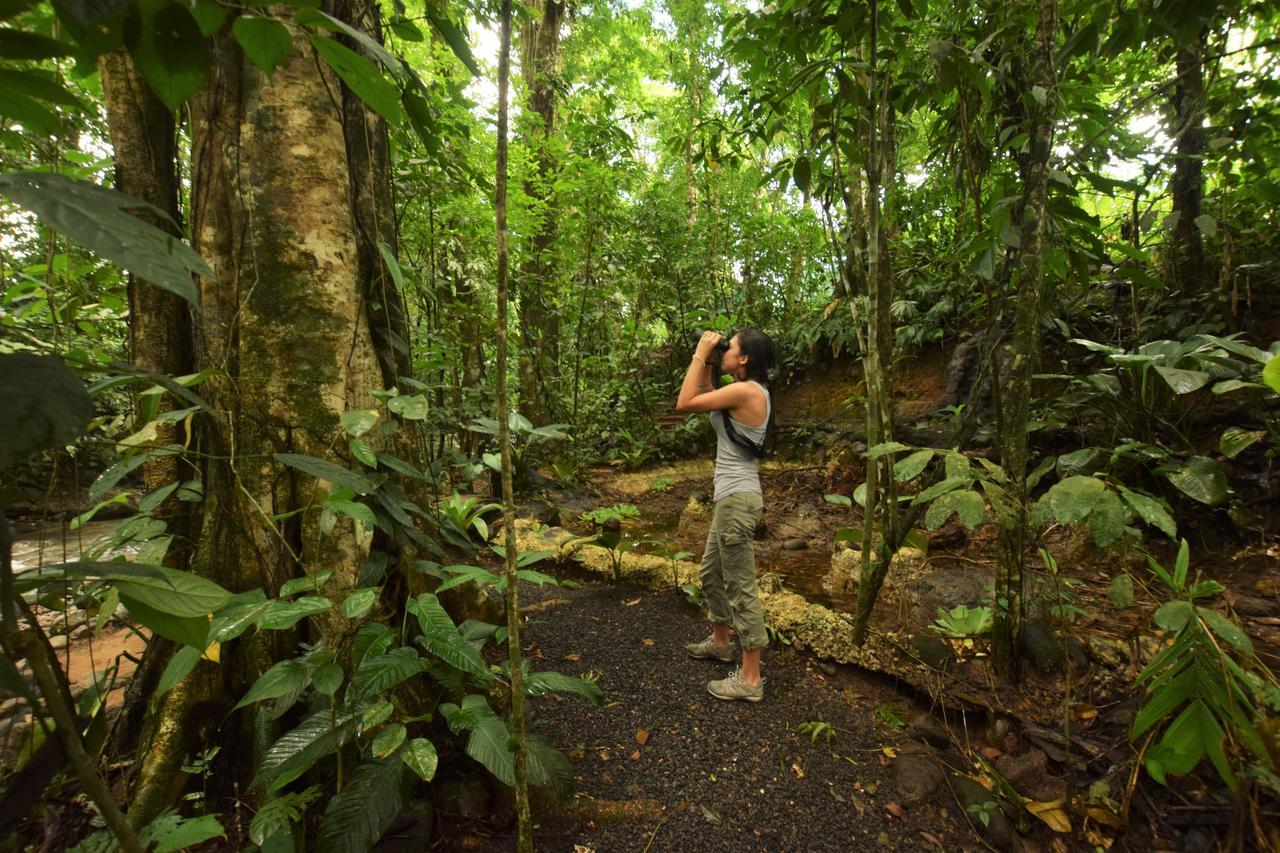 La Fortuna Cabanas Del Rio المظهر الخارجي الصورة